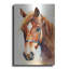 «Horse 2» par Petals Prints Design-1397598673