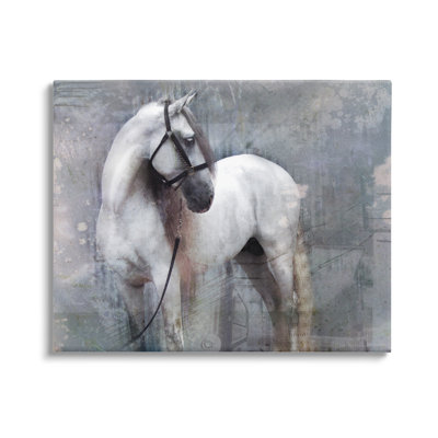 Au-836-Toile abstraite, cheval gris sur toile par Susan Friedman, peinture