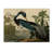 John James Audubon 'Louisiana Heron' Canvas Art-31354369-35748152