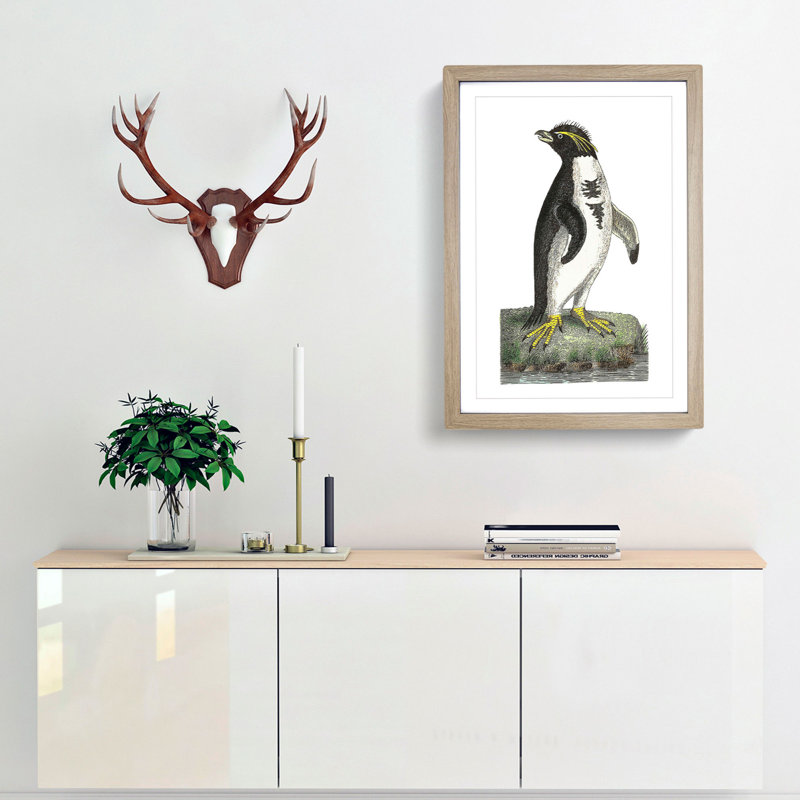 Crested Penguin by George Shaw - Framed Print, 36cm H x 27cm W x 2cm D, Oak Framed