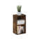 Cannice Bookcase