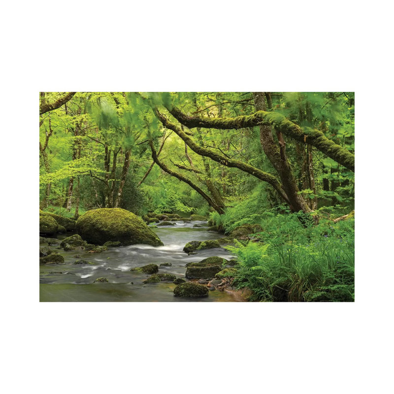 «Fairytale Forest» par Adam Burton - reproduction de photo, H 18 po x l 26 po x P 1,5 po, Toile tendue, Aucun mat