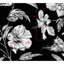 Papier peint Hibiscus-81646479