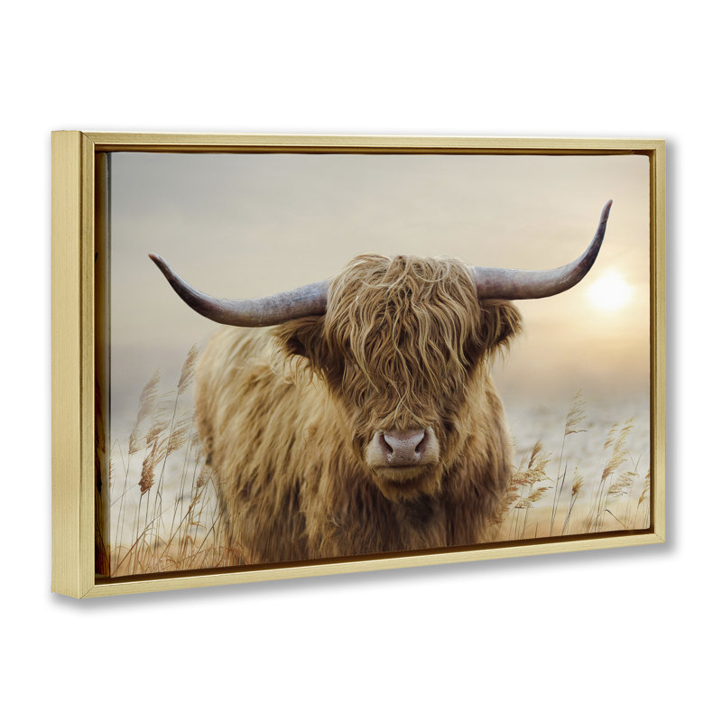 Cadre flottant Highland Cow & Warm Sunset, design par CAD Designs, Cadre flottant métallique doré, H 21 po x l 31 po