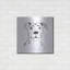 «Line Dog Pitbull I» par Chris Paschke-1488755392