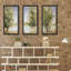 Waterway Grove par Carol Robinson - reproduction de cadre photo simple de 3 pièces-1555490492