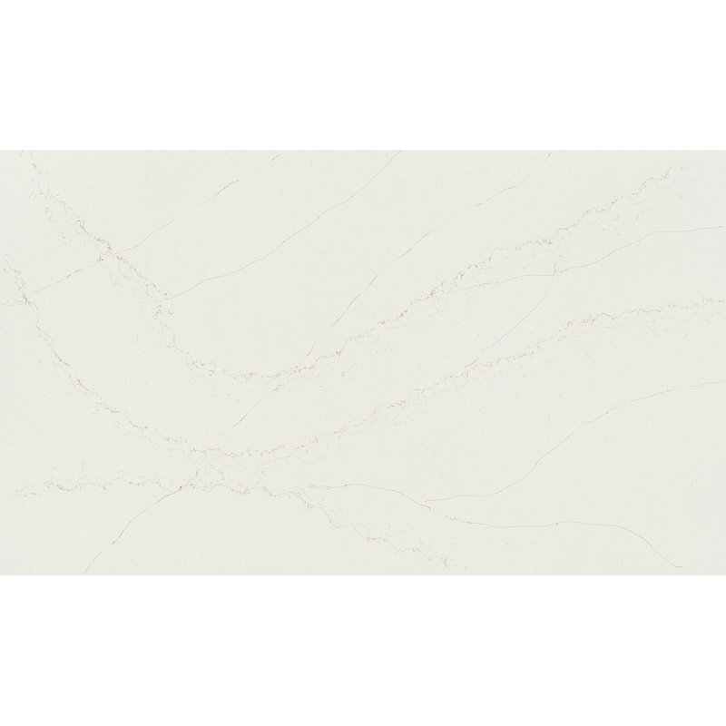 Valor Gold poli, Blanc / Doré