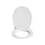 Toilet Seat PUTUMAYO  Soft Close Duroplast Black-605670265
