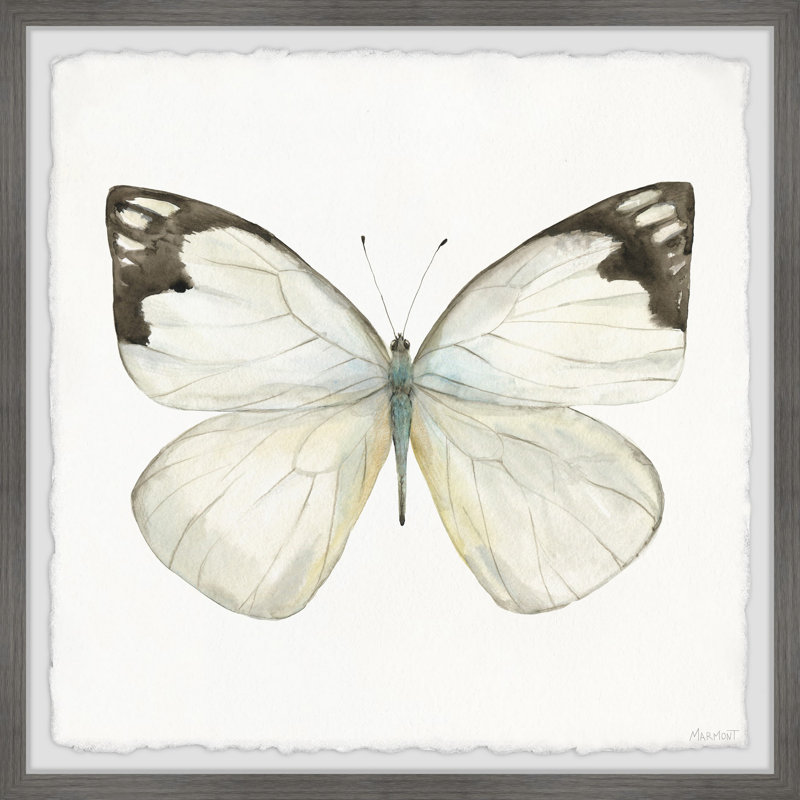 Rainforest Butterfly - Single Picture Frame Painting, 81cm H x 81cm W x 3.81cm D