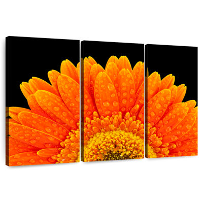 Harnek Gerbera Flower Dewdrops