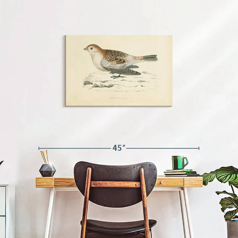 Snow Bunting Print, 20" H x 30" W