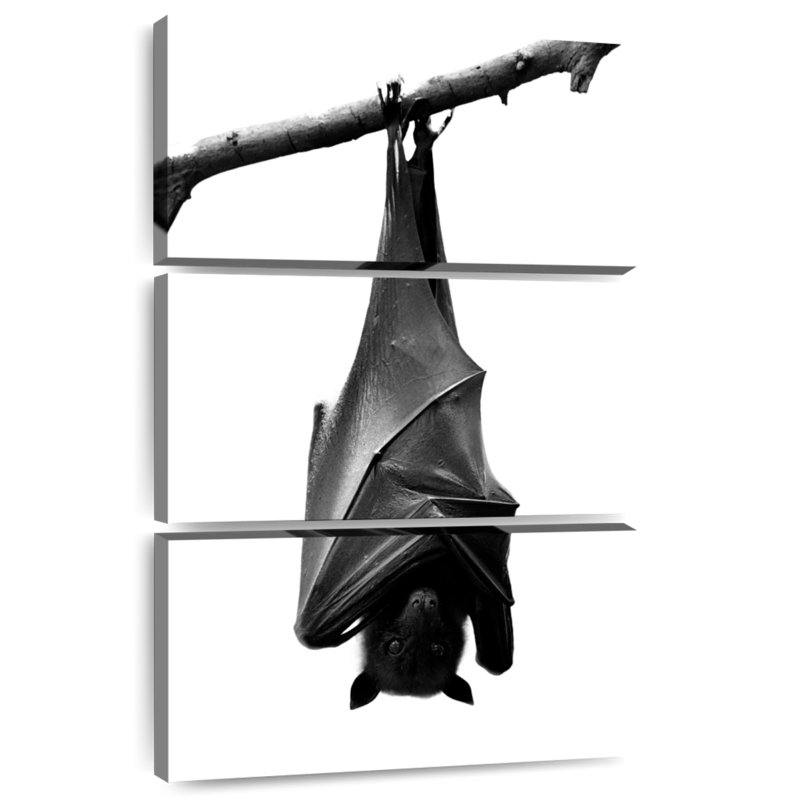 Brampt Monochrome Upside Down Bat, 45" H x 28" W