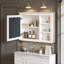 Armoire à pharmacie murale en panneau de fibres à densité moyenne l 36 po x P 6,7 po x H 27,8 po avec miroir et tablette réglable-655395031-655395028