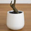 Cèdre artificiel en pot décoratif blanc-371409083