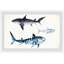 «The Sharks» de Cintron, reproduction encadrée-1564072022