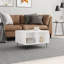 Caihe Coffee Table with Storage-1027860275