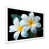 Cadre photo blanc