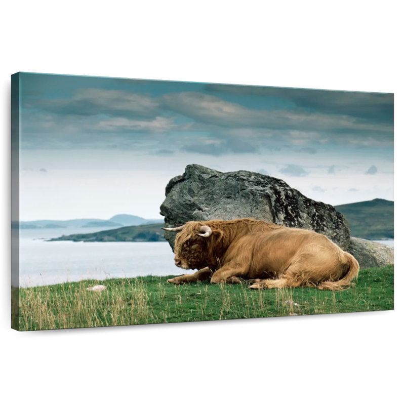 Brampt Highlander Bull, 26" H x 39" W