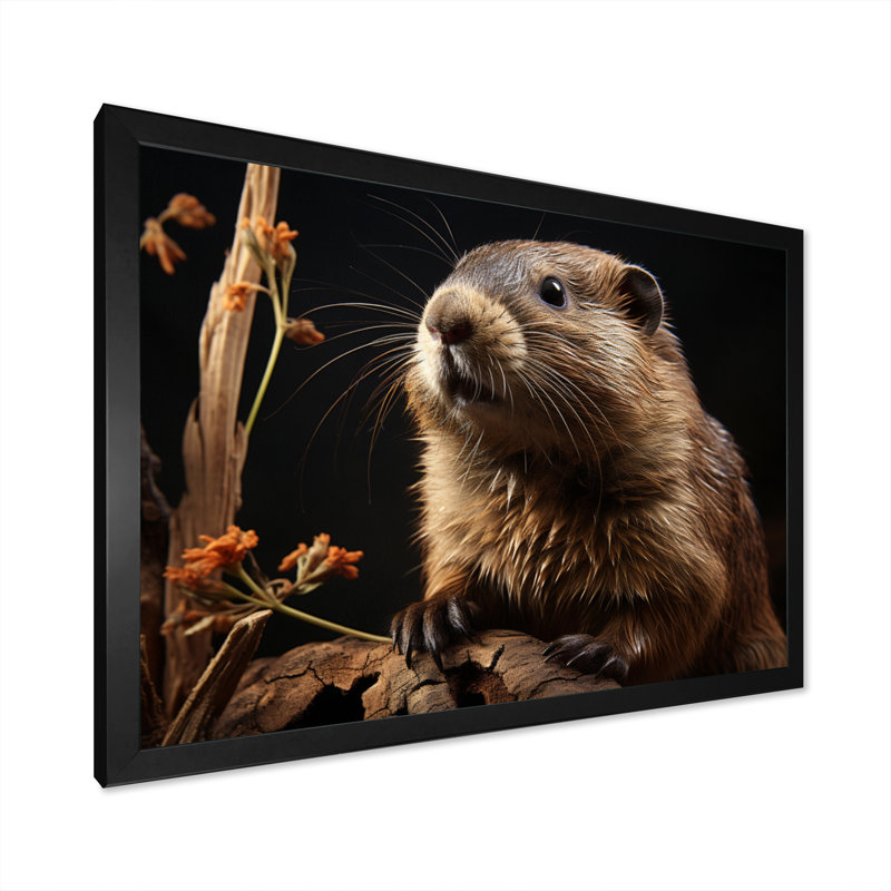 Portrait de castor sur toile, H 16 po x l 32 po x P 1 po, Cadre flottant noir