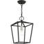 10 pieds carrés Luminaire suspendu de style lanterne convertible 1 pouce-101230790