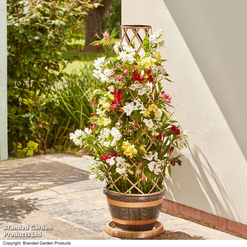 Pot Planter