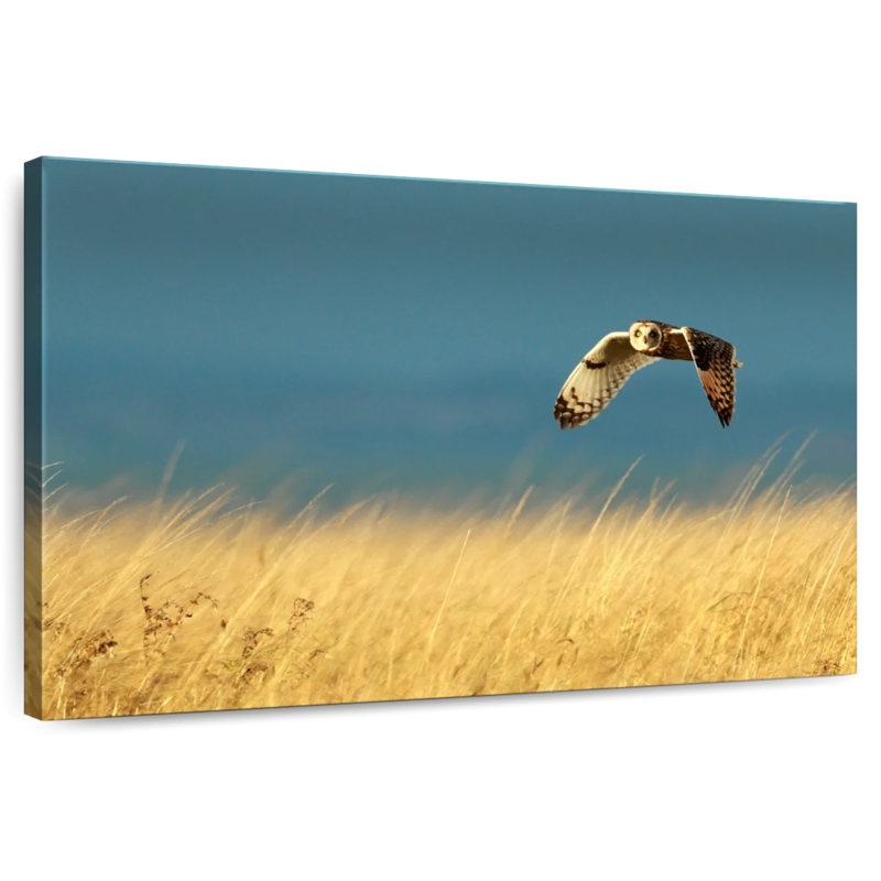 Owl In Flight, 34" H x 51" W