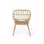 Chaise Harlem