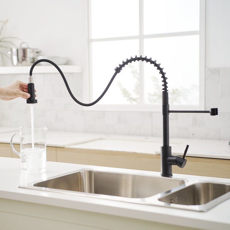 GAWEZA Kitchen Faucet, Black