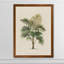 " Indigo Botanica III " by Paul Cezanne-565636926-565636927