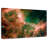 Oberle Eagle Nebula-108700279