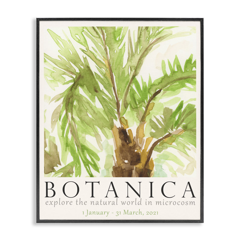  «Botanica», palmier, estampe numérique par June Erica Vess, Giclée encadrée noir minuit, H 30 po x l 24 po