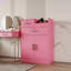Armoire de rangement verrouillable