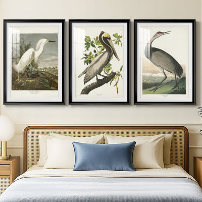 Pl 242 Snowy Heron  -Custom Framed  Premium Print W Matt - 3 Pieces