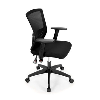 Merrik Ergonomic S-Shaped Mesh Office Chair with Lumbar Support & 360° Swivel by Inbox Zero