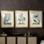 Oiseaux pastel I - impression encadrée de qualité supérieure sur mesure mat - 3 pièces-1413886610-1413886611