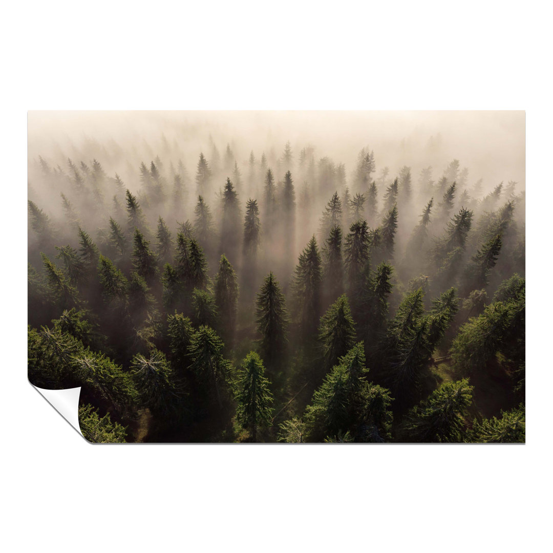 Panther Print Fine Art Prints Misty Morning Forest Trees Aerial View Artistic Unframed Poster, Pictures For Home Walls, Bedroom, Living Room & Bathroo