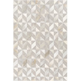 Arnessa Geometric Handwoven Gray/Beige Area Rug