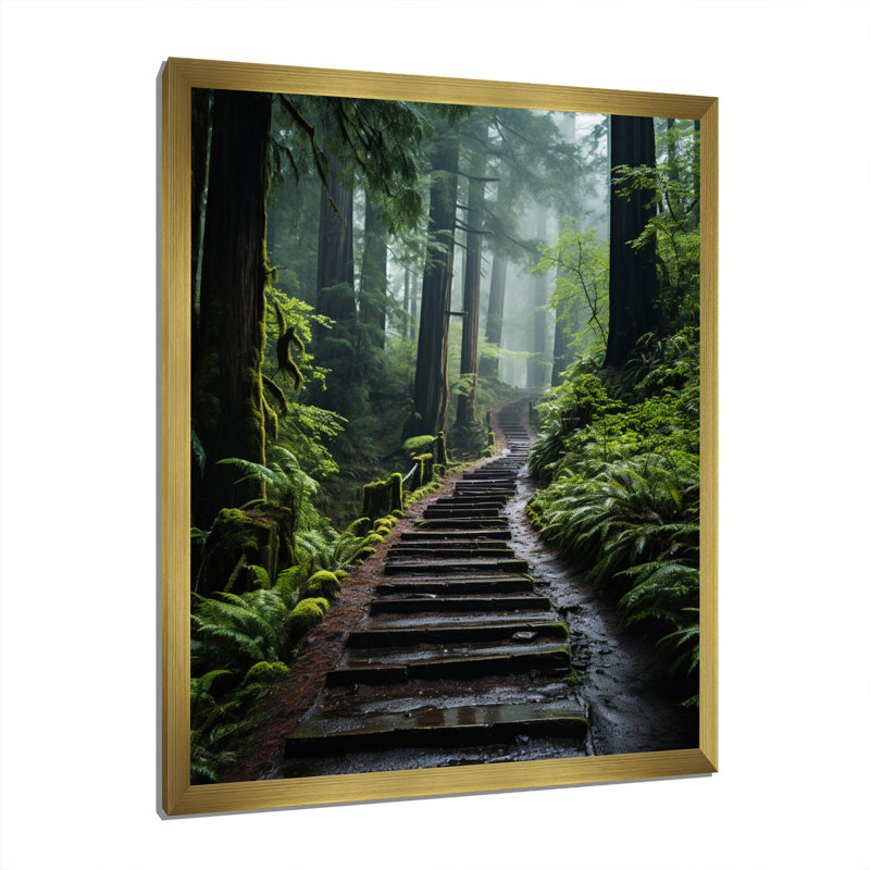 " USA Muir Woods National Monument I ", Gold Single Picture Framed, 32" H x 24" W x 1" D