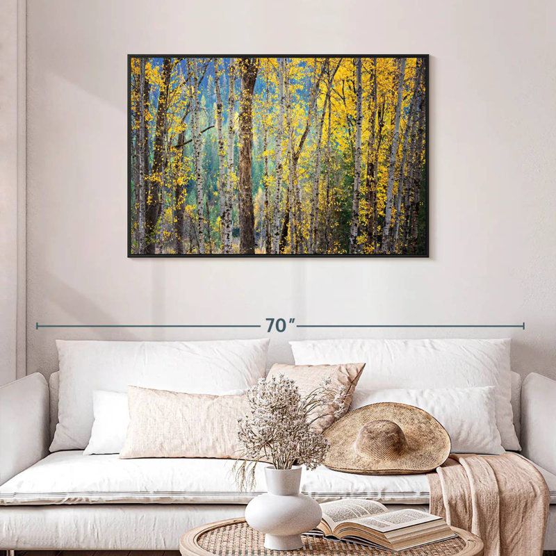 Kootenay Fall II, Cadre flottant noir, 43 po x 29 po