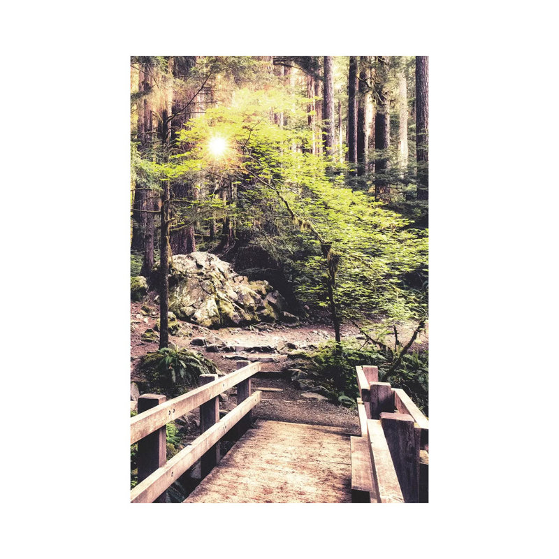« Sunlight on the Forest Path » par Andy Amos, reproduction de photo, Pas de tapis, H 26 po x l 18 po x 1,5 po, Toile tendue