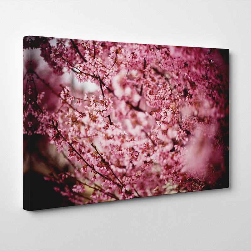 Wrapped Canvas Print, 40cm H x 60cm W