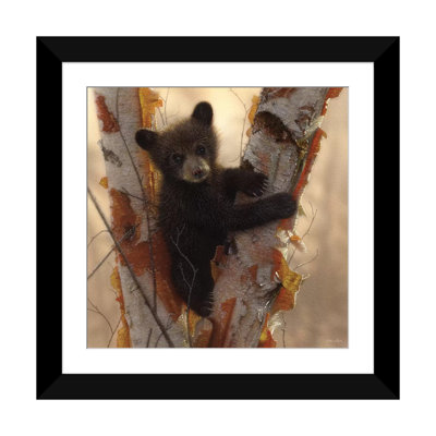 Curieux ours noir I, carré
