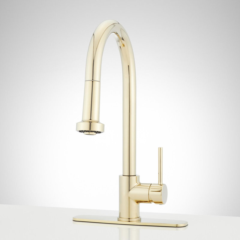 Ridgeway Pull-Down Kitchen Faucet with Deck Plate - Polished Brass, Polished Brass