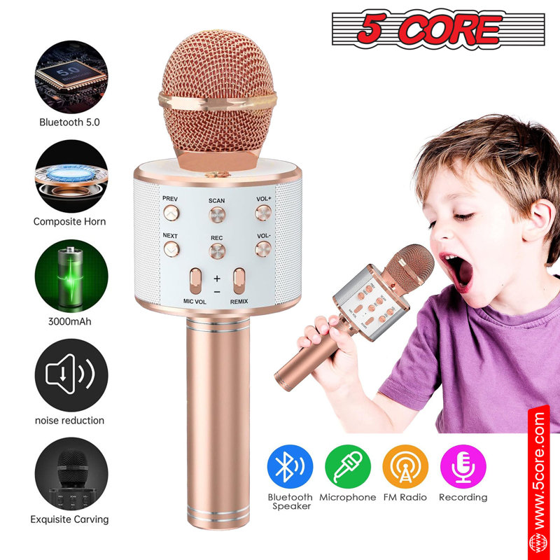 5 Core Microphone Wireless Karaoke Mic With Speaker 3 in 1 Portable Bluetooth Microfono Inalambrico
