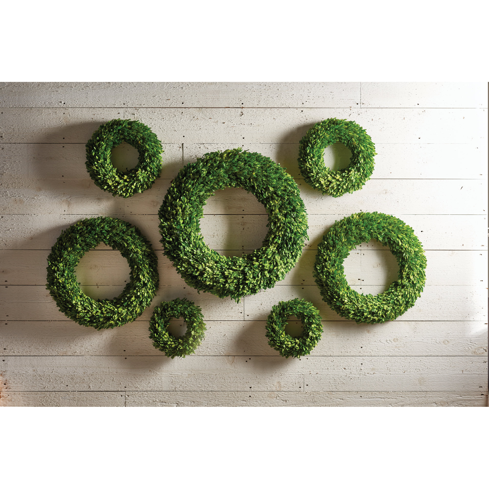 Alby Preserved Boxwood Wreath, 12" H x 12" W x 2.5" D
