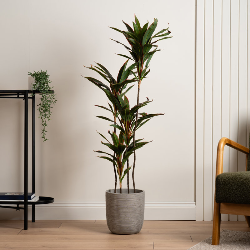 120Cm Faux Real Touch Red Dracaena Tree