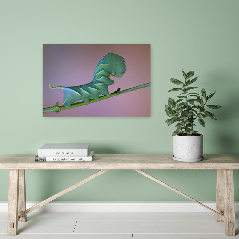 Chenille verte éclatante, illustration murale représentant un animal vibrant au cœur de la nature, H 16 po x l 24 po