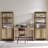 Cierrah 68.5" H Manufactured Wood Bookcase with Adjustable Shelves-1503450491