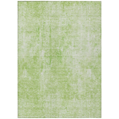  Caseville Area Rug