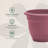 Traditional Self-Watering Plastic Indoor/Outdoor Pot Planter-1987602730-1921265536